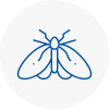 Moth Control Specialists In Chatham